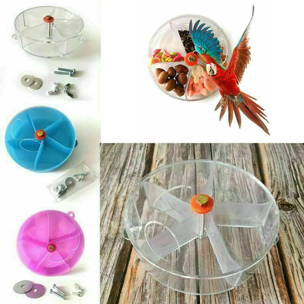 1PCS bird parrot cake model design food box brain game...